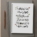 دفتر عيال زايد2